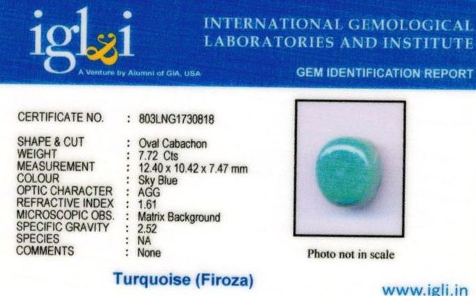 9-ratti-certified-turquoise-firoza-stone Certificate (ID-133)