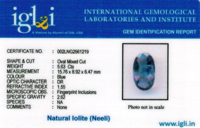 6.25-ratti-certified-iolite Certificate (ID-133)