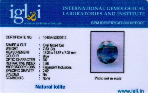 8.25-ratti-certified-iolite Certificate (ID-154)