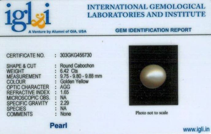 7.25-ratti-certified-golden-pearl Certificate (ID-116)