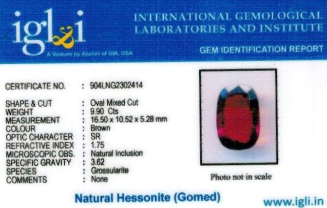 Click to view certificate 11.25-ratti-certified-hessonite Certificate (ID-331)