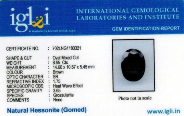 Click to view certificate 9.61-ratti-certified-hessonite-gomed-stone Certificate (ID-134)