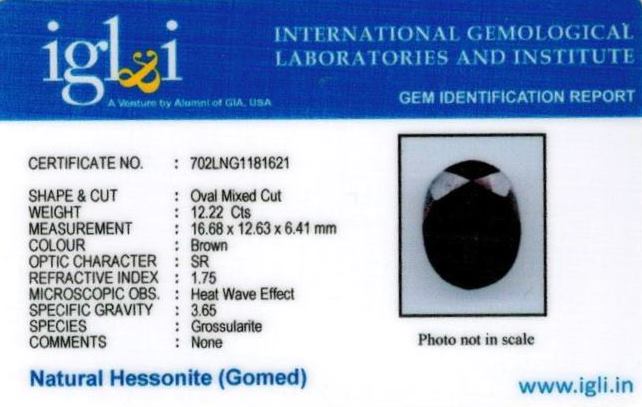 Click to view certificate 13.58-ratti-certified-hessonite-gomed-stone Certificate (ID-119)