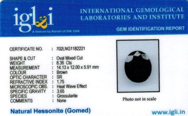 Click to view certificate 9.29-ratti-certified-hessonite-gomed-stone Certificate (ID-133)