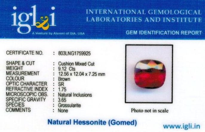Click to view certificate 10.25-ratti-certified-hessonite-gomed-stone Certificate (ID-199)