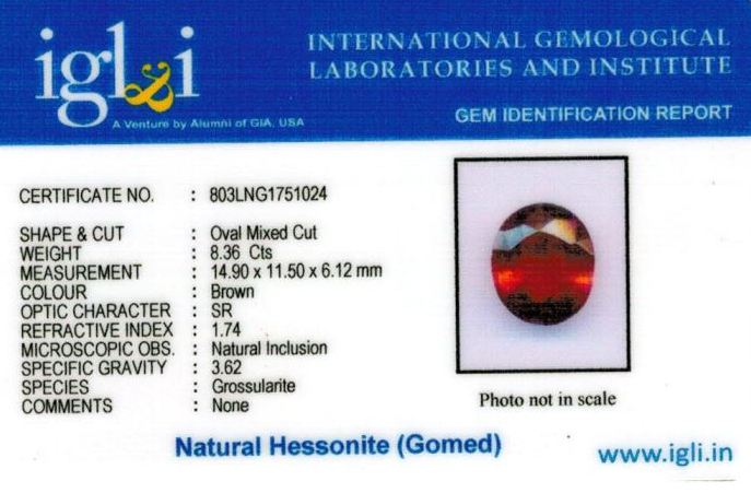 Click to view certificate 9.25-ratti-certified-hessonite-gomed-stone Certificate (ID-195)