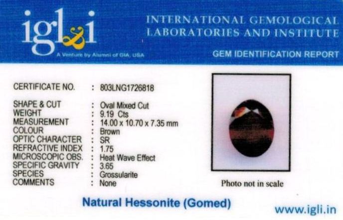 Click to view certificate 10.25-ratti-certified-hessonite-gomed-stone Certificate (ID-217)