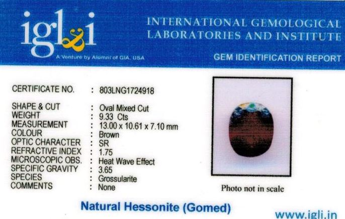 Click to view certificate 10.25-ratti-certified-hessonite-gomed-stone Certificate (ID-219)