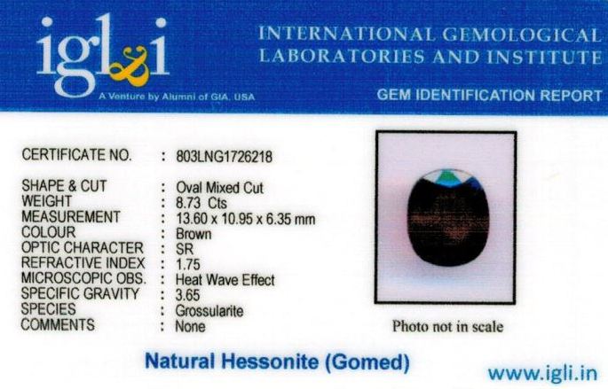 Click to view certificate 10-ratti-certified-hessonite-gomed-stone Certificate (ID-213)