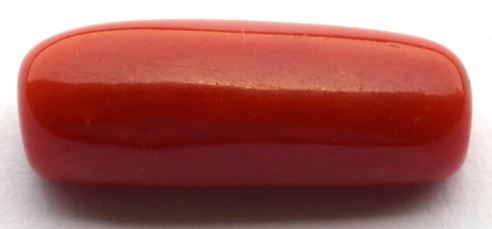 8.97-ratti-certified-red-coral-stone 8.97-ratti-certified-red-coral-stone