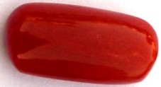 6.91-ratti-certified-red-coral-gemstone 6.91-ratti-certified-red-coral-gemstone