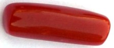 7.61-ratti-certified-red-coral-gemstone 7.61-ratti-certified-red-coral-gemstone