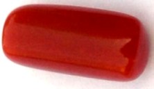 7.82-ratti-certified-red-coral-gemstone 7.82-ratti-certified-red-coral-gemstone