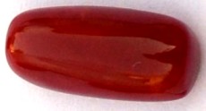 7.86-ratti-certified-red-coral-gemstone 7.86-ratti-certified-red-coral-gemstone