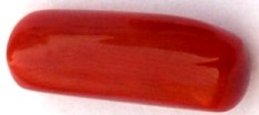 8.54-ratti-certified-red-coral-gemstone 8.54-ratti-certified-red-coral-gemstone
