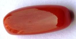 9.07-ratti-certified-red-coral-gemstone 9.07-ratti-certified-red-coral-gemstone