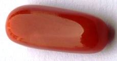 10.72-ratti-certified-red-coral-gemstone 10.72-ratti-certified-red-coral-gemstone