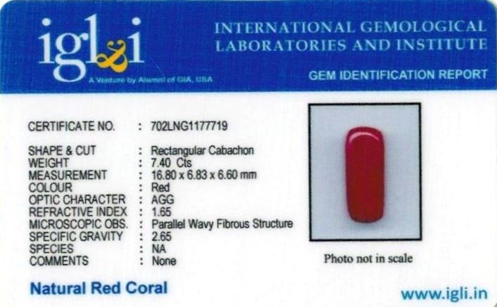 Click to view certificate 8.22-ratti-certified-red-coral-gemstone Certificate (ID-250)