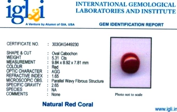 6-ratti-certified-red-coral Certificate (ID-380)