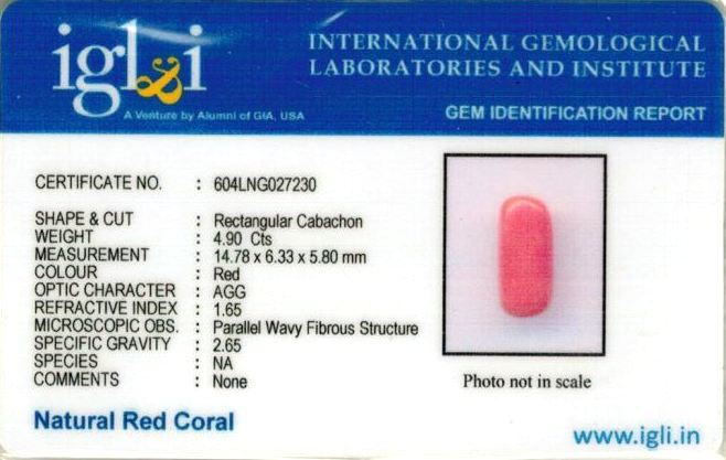 Click to view certificate 5.44-ratti-certified-red-coral-gemstone Certificate (ID-126)