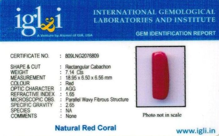 Click to view certificate 8-ratti-certified-red-coral-stone Certificate (ID-294)