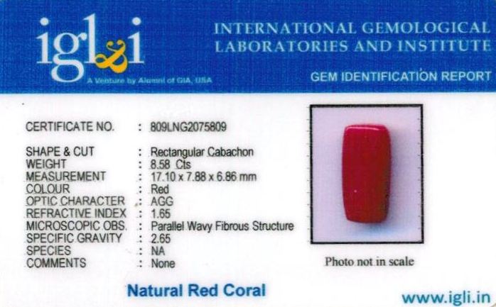 Click to view certificate 10-ratti-certified-red-coral-stone Certificate (ID-297)