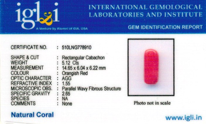 Click to view certificate 5.69-ratti-certified-red-coral-gemstone Certificate (ID-218)