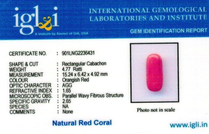 Click to view certificate 5-ratti-certified-red-coral Certificate (ID-307)