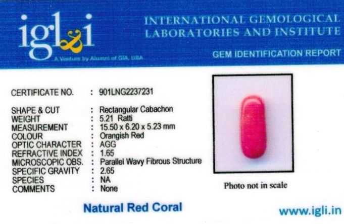 Click to view certificate 5.25-ratti-certified-red-coral Certificate (ID-313)