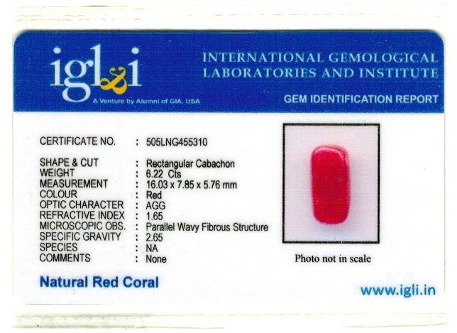 Click to view certificate 6.91-ratti-certified-red-coral-gemstone Certificate (ID-200)