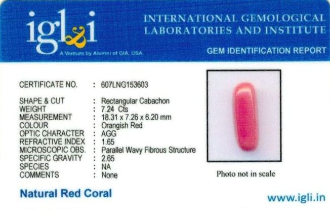 Click to view certificate 8.04-ratti-certified-red-coral-gemstone Certificate (ID-239)