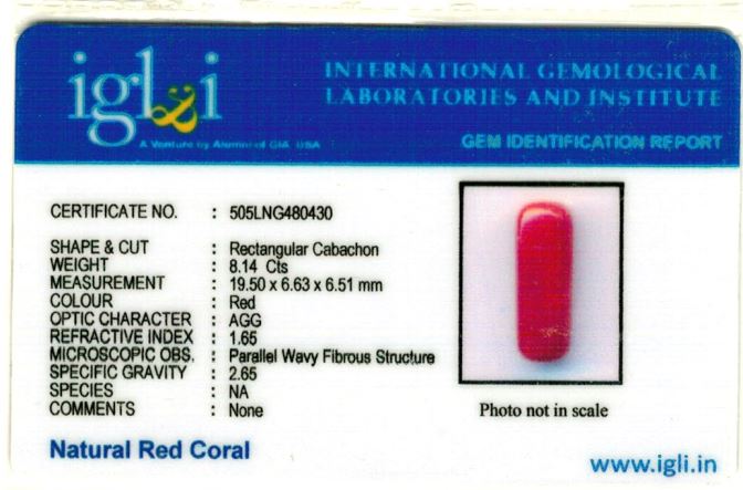 Click to view certificate 9.04-ratti-certified-red-coral-gemstone Certificate (ID-227)