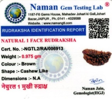5.25-ratti-certified-rudraksh Certificate (ID-124)