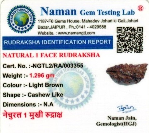 7.25-ratti-certified-rudraksh Certificate (ID-128)