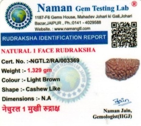 7.25-ratti-certified-rudraksh Certificate (ID-129)