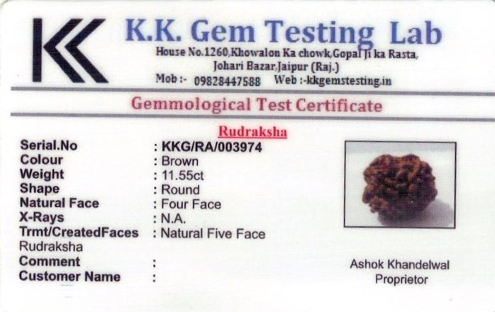 13-ratti-certified-rudraksh Certificate (ID-111)