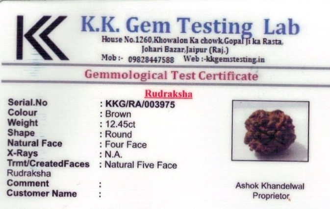 14-ratti-certified-rudraksh Certificate (ID-100)