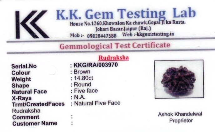 16.25-ratti-certified-rudraksh Certificate (ID-101)