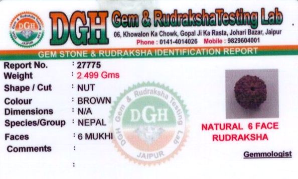 14-ratti-certified-rudraksh Certificate (ID-130)