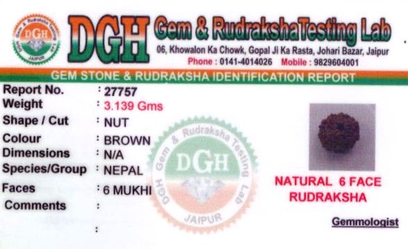 17.25-ratti-certified-rudraksh Certificate (ID-131)