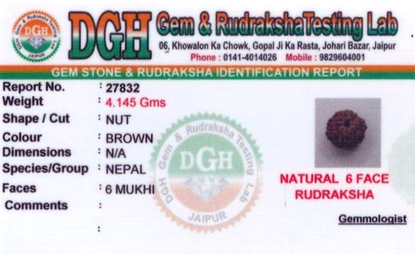 23.25-ratti-certified-rudraksh Certificate (ID-133)