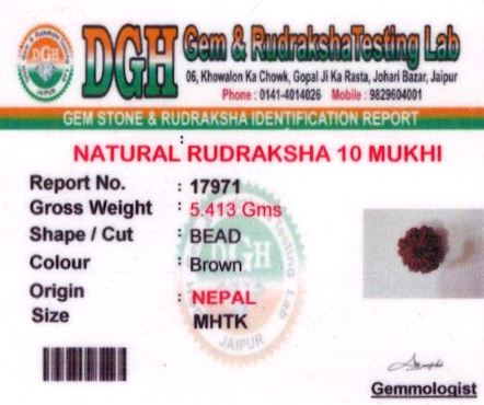 30.25-ratti-certified-rudraksh Certificate (ID-144)