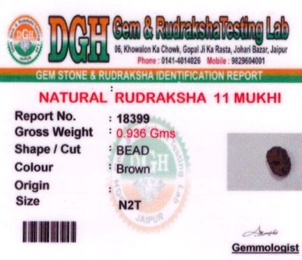 5.25-ratti-certified-rudraksh Certificate (ID-148)