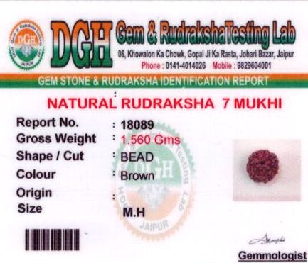 9-ratti-certified-rudraksh Certificate (ID-135)