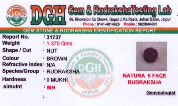 8-ratti-certified-rudraksh Certificate (ID-142)