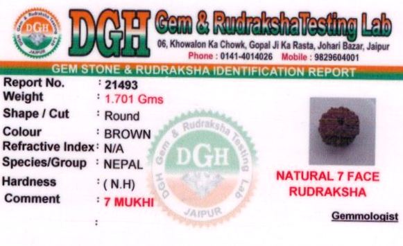 9.25-ratti-certified-rudraksh Certificate (ID-137)