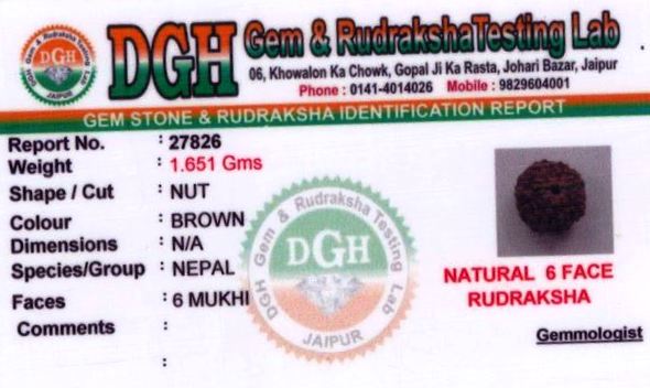 9.25-ratti-certified-rudraksh Certificate (ID-134)
