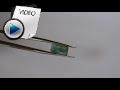4.27 Carat Emerald (Panna) Stone Video