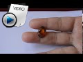 10.5 Carat Hessonite (Gomed) Stone Video