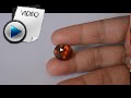 12.52 Carat Hessonite (Gomed) Stone Video